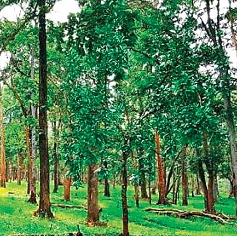 Image used for representation