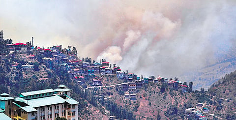 Smoke billows out after a fire broke out in a forest near residential area in Shimla.