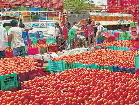 Farmers are suffering severe losses due to fluctuating prices and reduced yields.