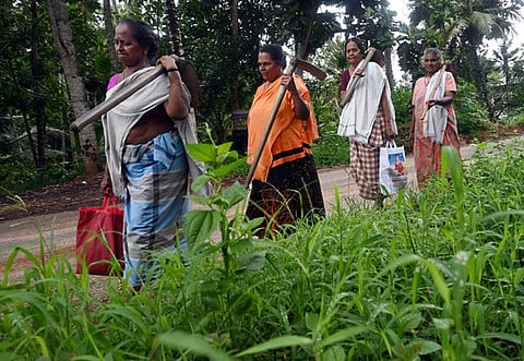 Kudumbashree Women who are part of the MGNREG scheme returning home after the day's work.(Representative Image)