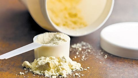 Protein powders