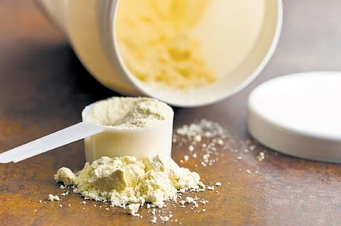 Protein powders
