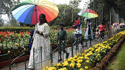 Rain lashed Coonoor for an hour in the afternoon