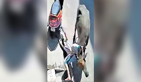 Video grab of the incident