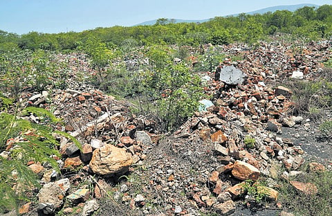 The mangrove patch behind Visakhapatnam International Airport is filled with construction debris.