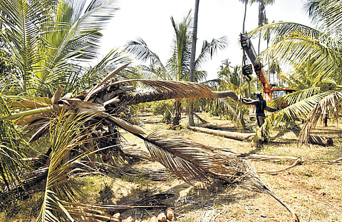 Officials said G.O. to conduct survey came last week