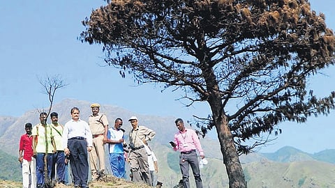 However, the forest department has now decided to allow trekking and prepared an atlas containing 40 trek routes.