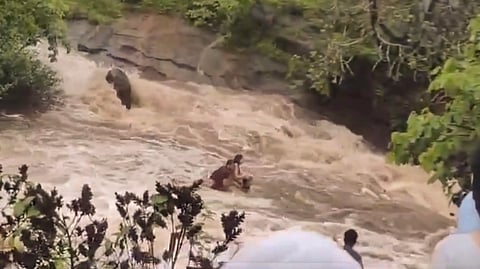 Screengrab from the video which captured the tragic incident at Bhushi Dam