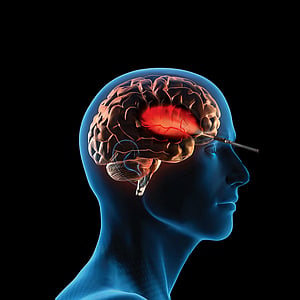 The goal is to revolutionise the treatment of conditions like depression, addiction, OCD, and epilepsy by rebalancing disrupted brain activity patterns.