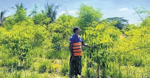 Ramisetty Mahesh Kumar, a resident of Saraswathipuram in Chittoor district, has transformed two acres of sandy soil into a thriving testament to the power of natural farming.