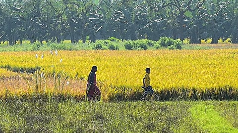 Representational image