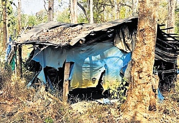 A hut in the Thatalli tribal settlement at Maldare near Siddapura in Kodagu
