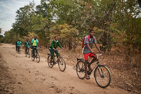 School children ride bicycles through a forest to school on June 12, 2023 in Binga, Zimbabwe.