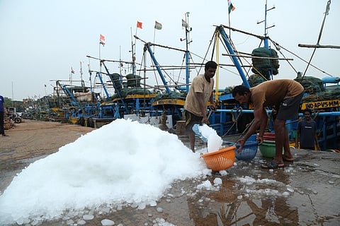 Fishermen load ice into boats at Visakhapatnam Fishing Harbour.