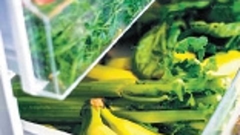 Refrigeration or de-nitrification?