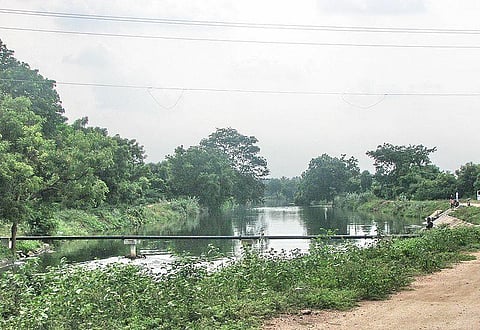 Lower Bhavani Project (LBP) canal. Image used for representational purpose