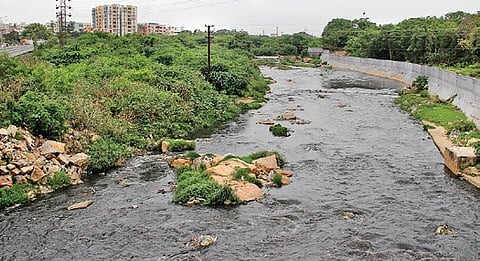 Musi River.