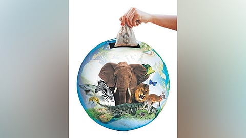 Several assessments indicate human activities have damaged the integrity of the biosphere.
