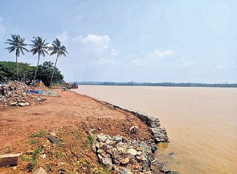 The NGT issued the order while hearing a petition seeking stay on construction of an waterfront promenade project
