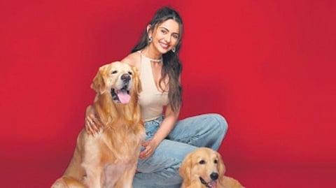 Rakul Preet Singh