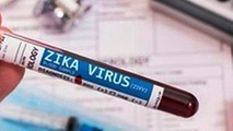 Zika