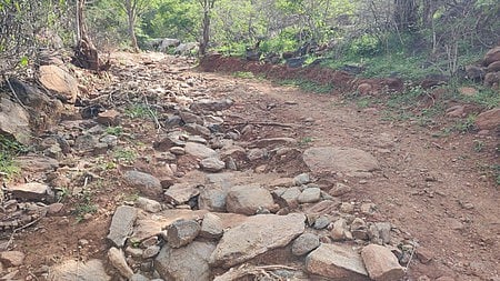 Palnadu District Collector Arun Babu announced that necessary actions would be taken to lay roads to tribal villages using special funds.