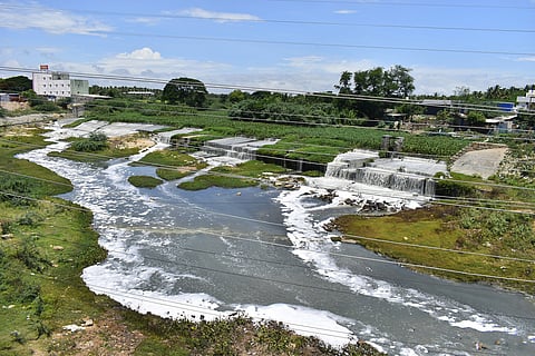 As the Noyyal river passes through Coimbatore Corporation, several town panchayats and village panchayat areas, sewage and solid waste get mixed in it.