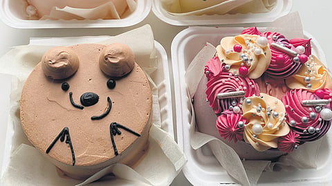 Bento cakes