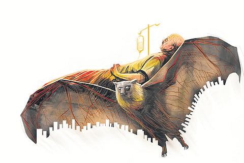 Rare case of a patient falling into coma months after recovering from Nipah also reported