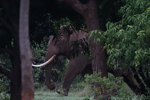 Representational image