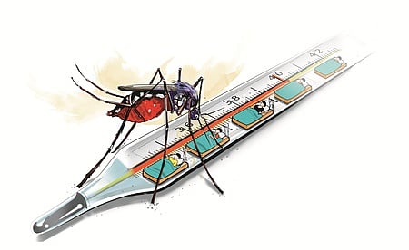In the last 20 days alone, over 2,000 dengue cases were reported.
