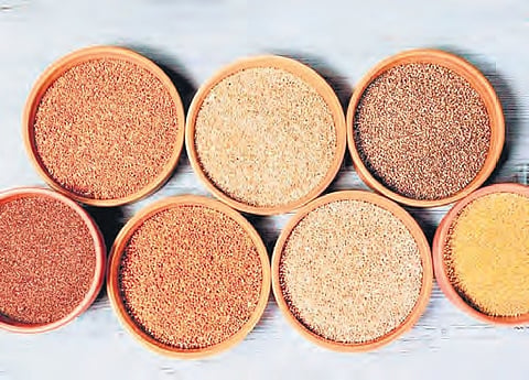 growing demand for minor millets and the lucrative opportunity it presents for farmers to enhance their income.