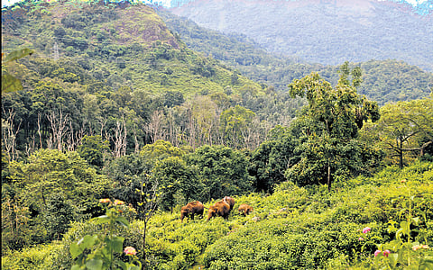 Image used for representational purposes.