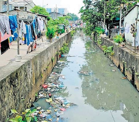 Despite advances in healthcare and sanitation, the national capital remains a hotbed for vector-borne illness. Image used for representation.