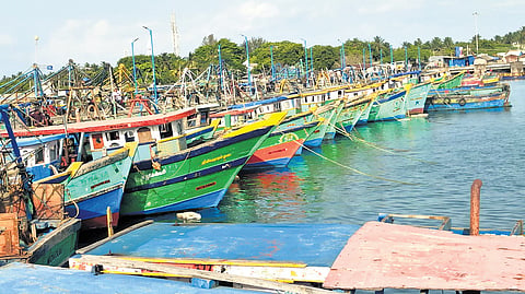 Over 700 boats remained anchored in the ports in Rameswaram for the fifth consecutive day.