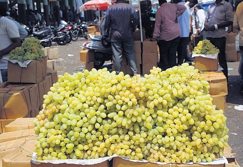 Pesticides, preservatives present highly in seasonal fruits: Horticulture expert