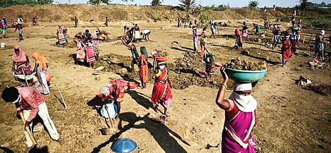 Rural female labour under Mahatma Gandhi National Rural Employment Guarantee Act (MGNREGA)