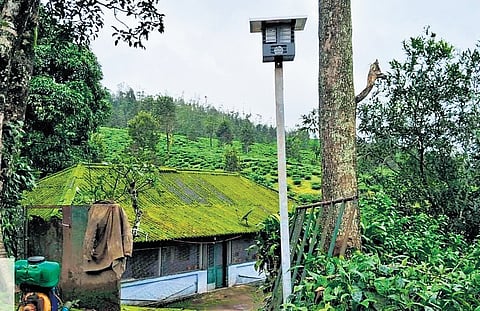 700 virtual fences were installed at Valparai forest range and 600 at Manomboly forest range at a cost of Rs 2.9 crore