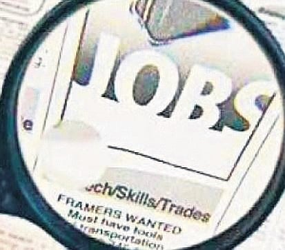 Hiring across all experience levels witnessed positive growth in July
