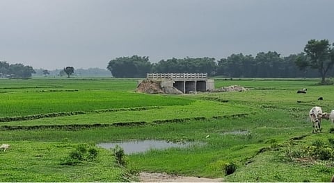 The bridge constructed on farmland in Bihar's Araria district.