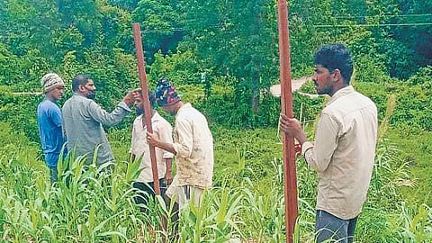 Officials fixing solar fence at Palakkad railway division