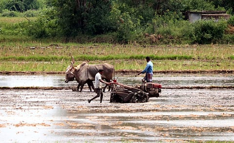 Among SC members, about half are daily wagers, while a third of ST members live in homes with neither a tap nor a toilet. Representative image
