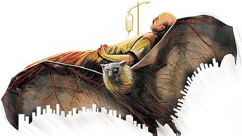 In tests conducted in previous years, the state health department, in association with the Indian Council of Medical Research (ICMR), had identified that fruit bats are the source of the Nipah infection in Kerala.