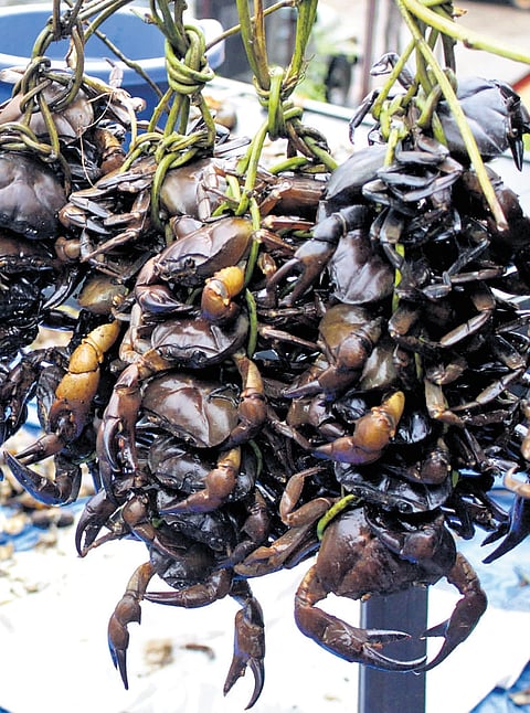 The chilly weather and hard work in the farmlands demand that one stay healthy, leading to unique dishes being prepared during this period in ancestral times.