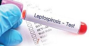 Tests conducted at the hospital revealed that Bibinkumar, (19) and Bharanithar, (20) had symptoms of rat fever. Anmol, (19) also tested positive for dengue fever.