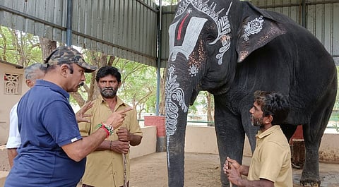 Dr N Sivaganesan advising the mahouts of elephant ‘Lakshmi’ of Sri Aravindalochanar Temple in Tirunelveli district