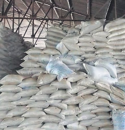 Bangla unrest hits mustard cake business in Gwalior-Chambal belt