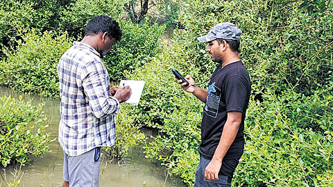 The Forest Department in collaboration with the TREE Foundation