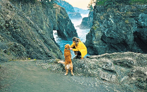 Paw-some getaways: Four pet-friendly destinations to save for your next trip