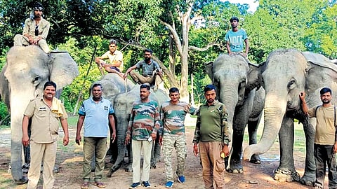 Gajraj returns after 15-day escapade with six females